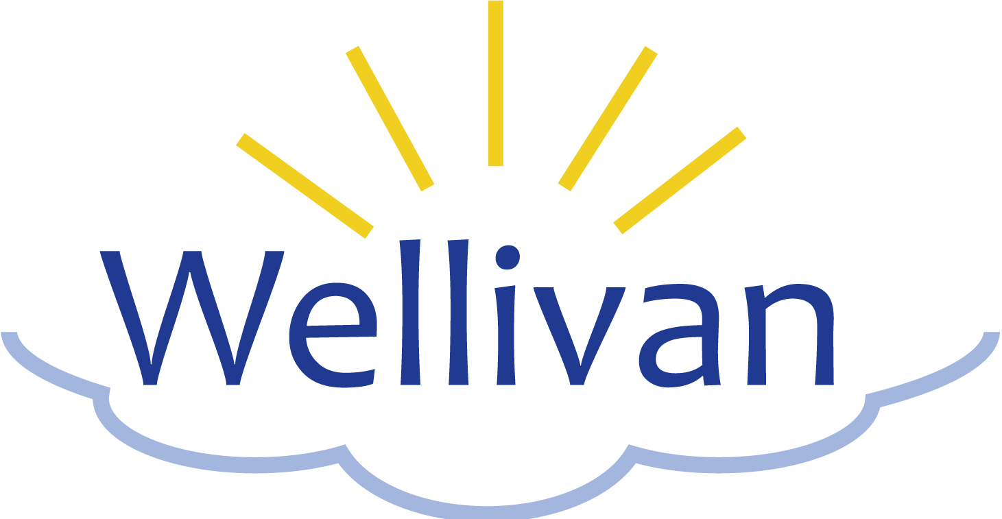 Wellivan Consultants